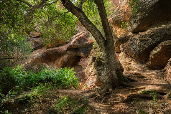 Pinnacles National Park