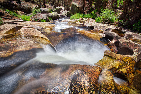 Sierra National forest