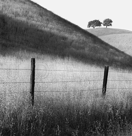 Paso Robles
