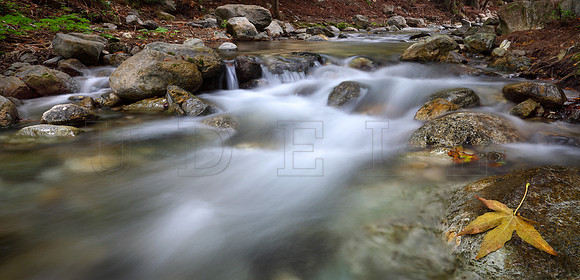 Limekiln State Park