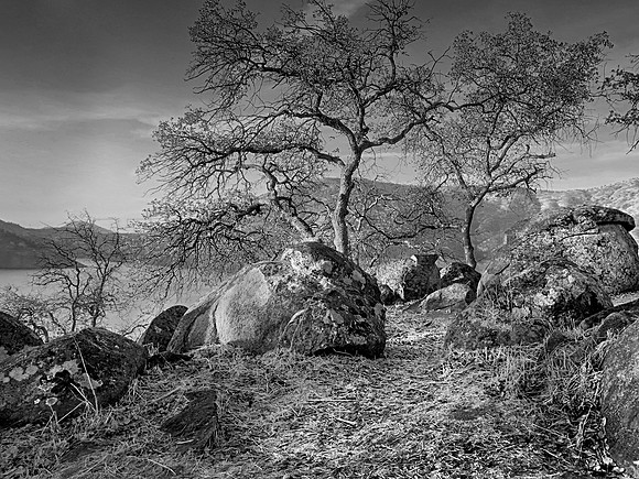 Sierra Foothills
