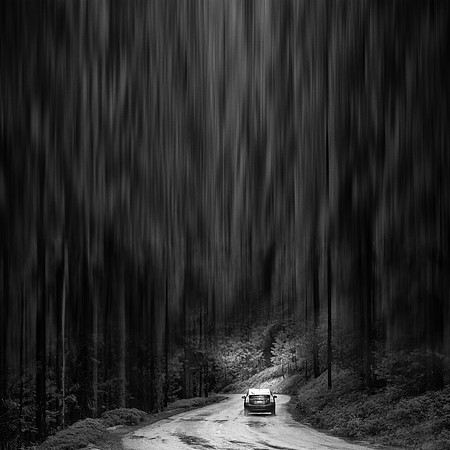 Sierra National Forest
